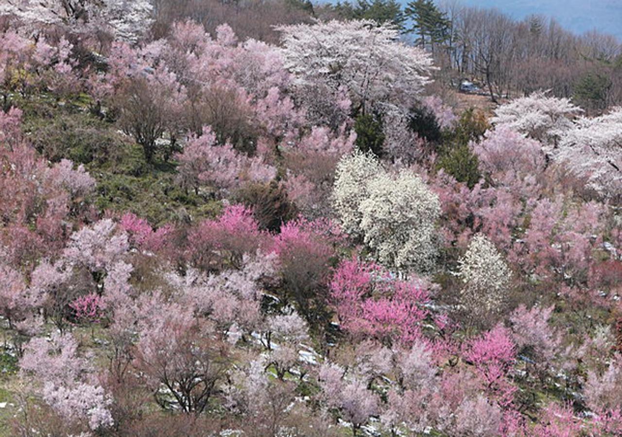 土湯温泉 やすらぎの宿 向瀧旅館 Fukushima  Bagian luar foto